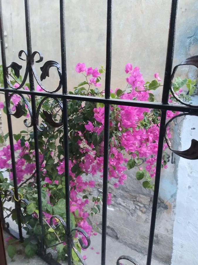 Casa Magnolia Boutique Rooms Kusadası 0*,  Tyrkiet