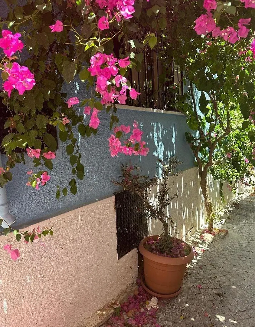 Ξενοδοχείο Casa Magnolia Boutique Rooms Κουσάντασι